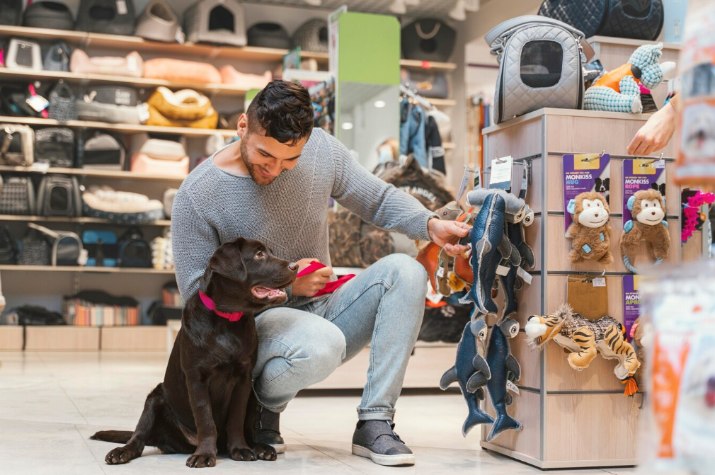 Top 7 Dog Wet Food Brands You Can Find at Pet Stores in Virginia