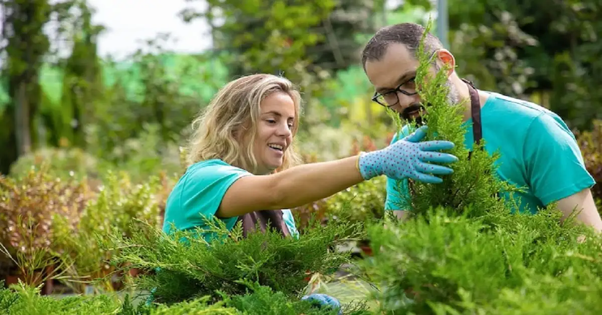 Why Choosing Local Tree Experts Matters for Livonia Homeowners